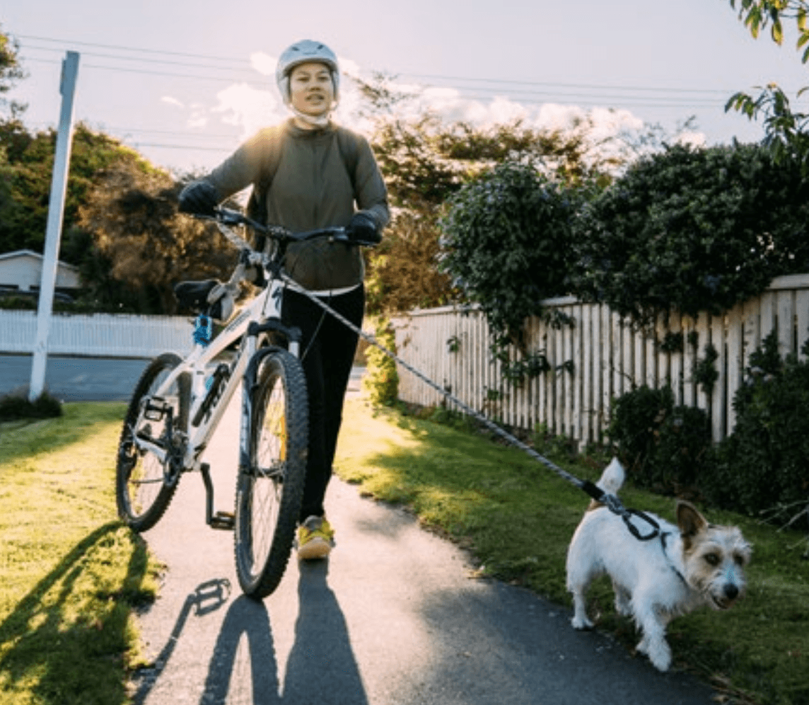 Te Ara Matatika | The Fair Path