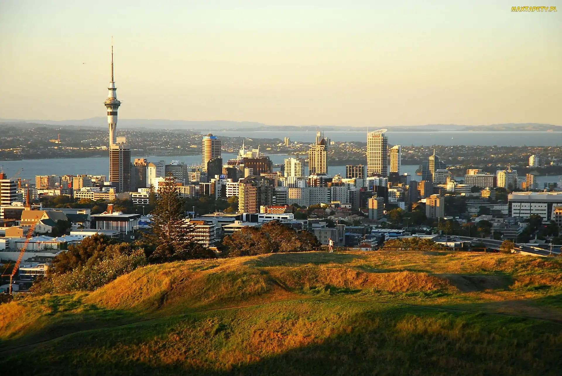 Auckland at 15