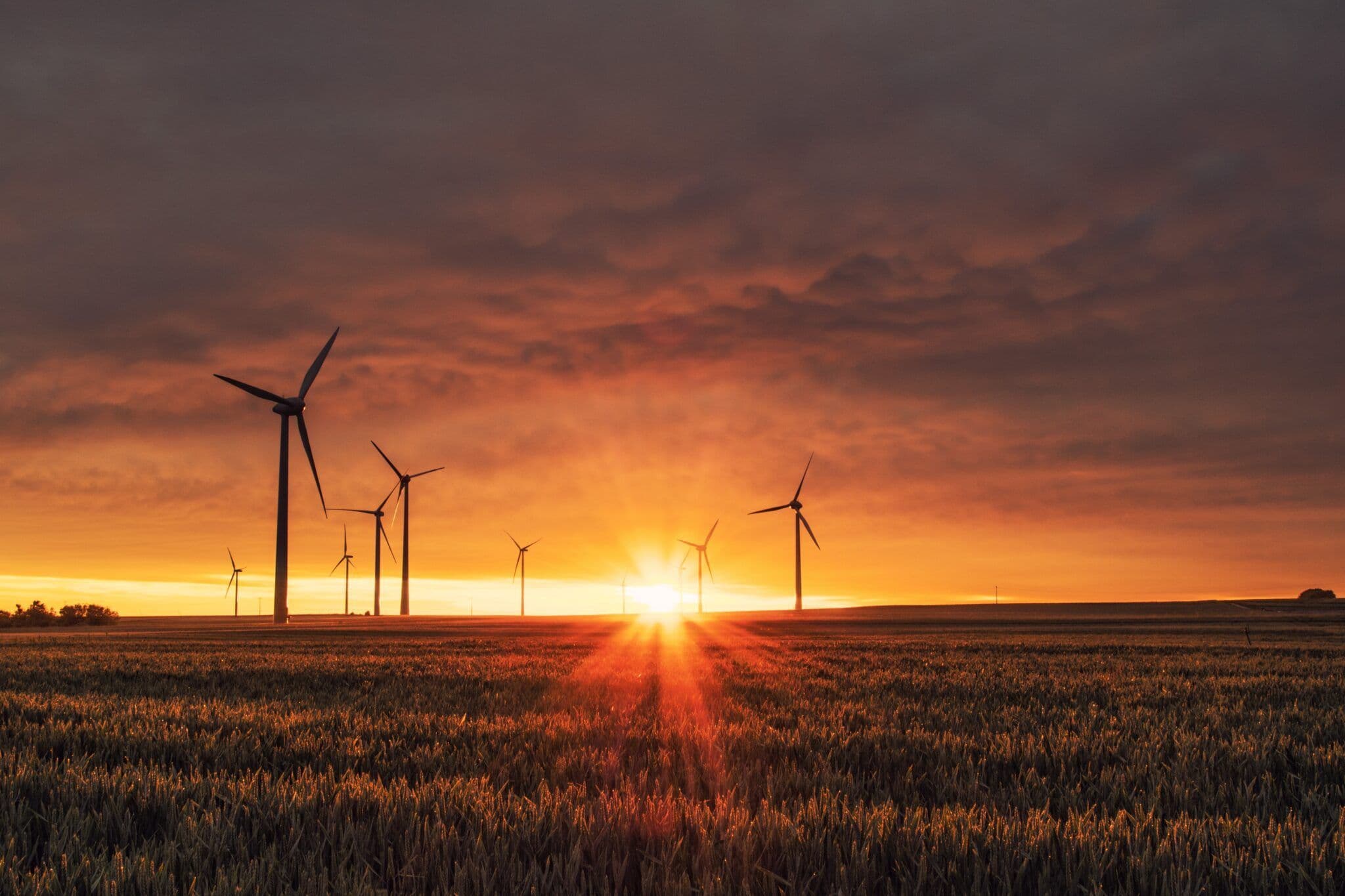 Facing Up to Our Future: Housing, Energy and Sustainability