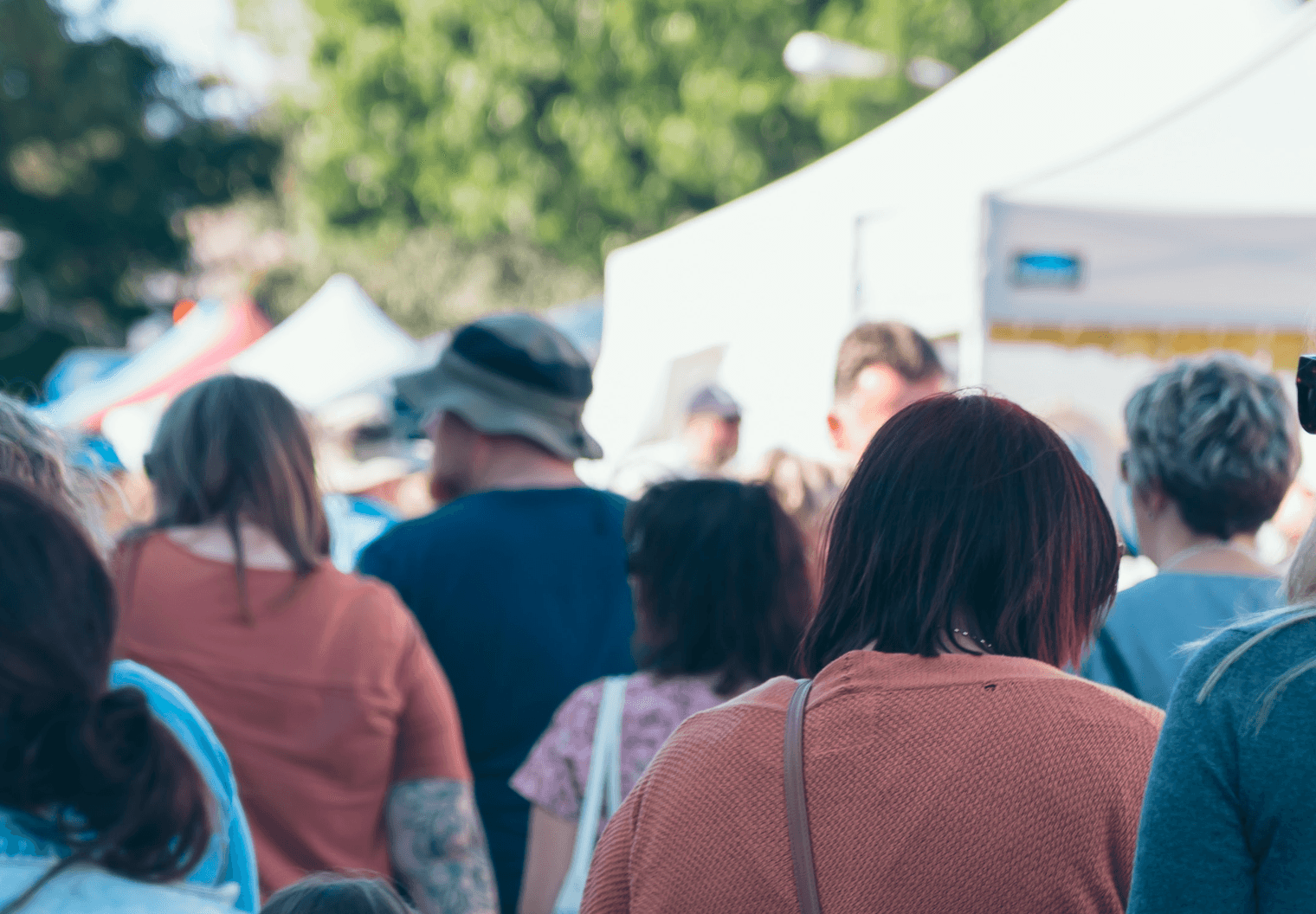 Social Cohesion in New Zealand