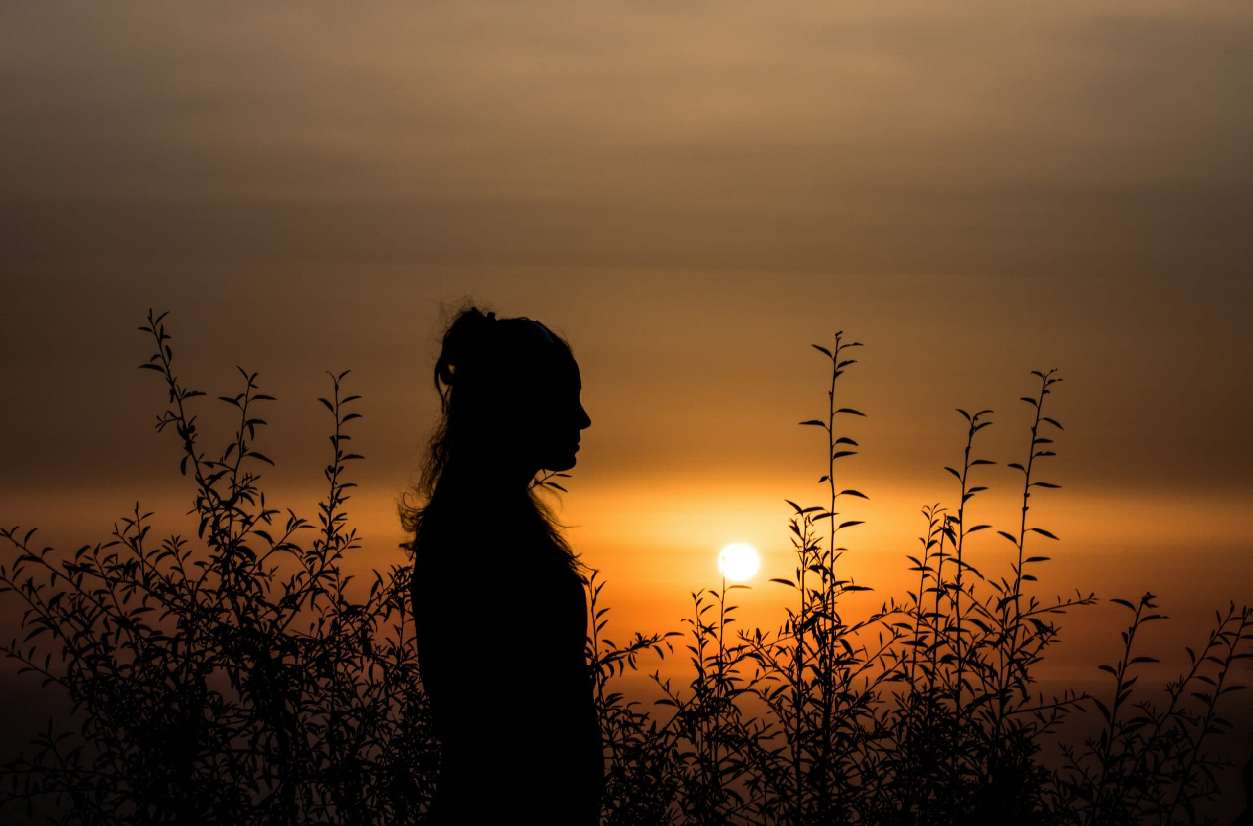 A long haired female silhouette against a sunset in a field