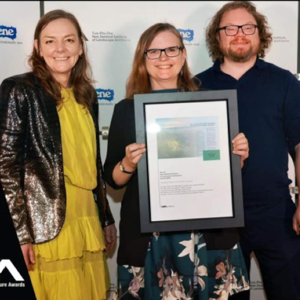 Sponge Cities report wins “Research and Communications” category in New Zealand Institute of Landscape Architects award programme